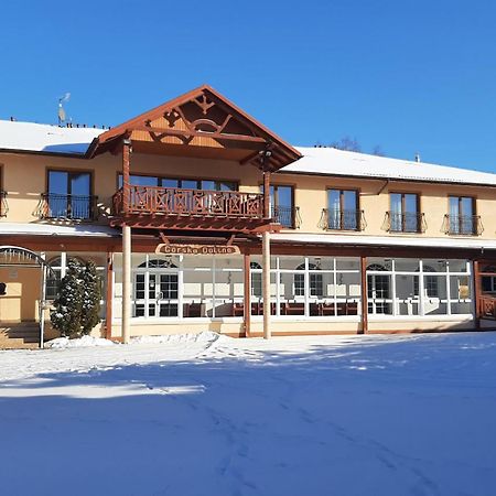 Gorska Dolina Bed & Breakfast Stronie Slaskie Exterior photo